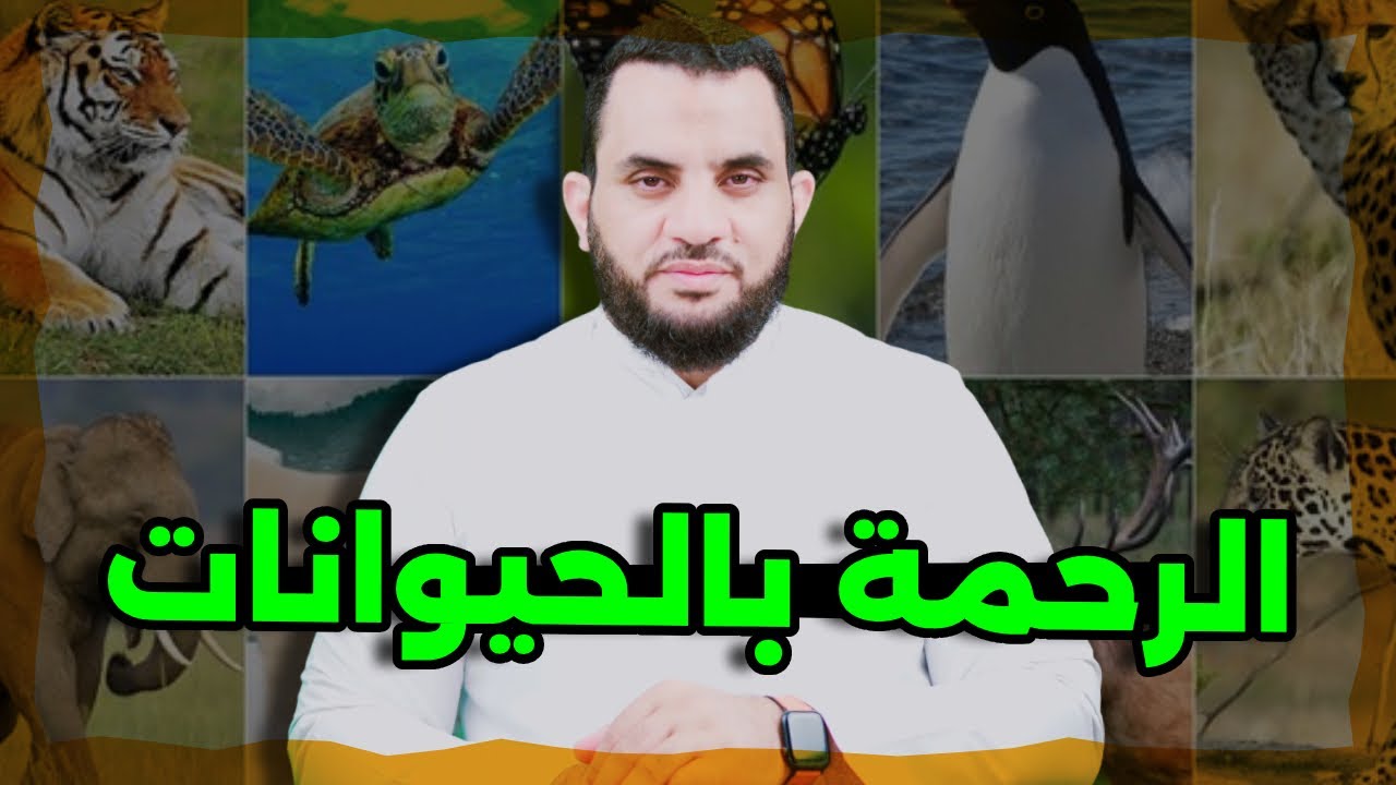 لو عالجت كلب مريض هل أجر ؟ وثواب رحمة الحيوانات || عمرو نور الدين