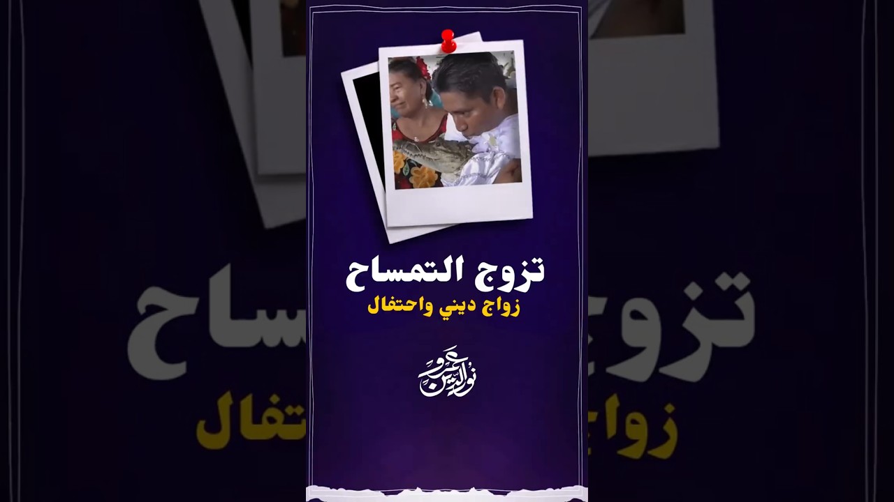 تخيل أن في بشر يتزوج تمساح #عمرو_نور_الدين #اكسبلور