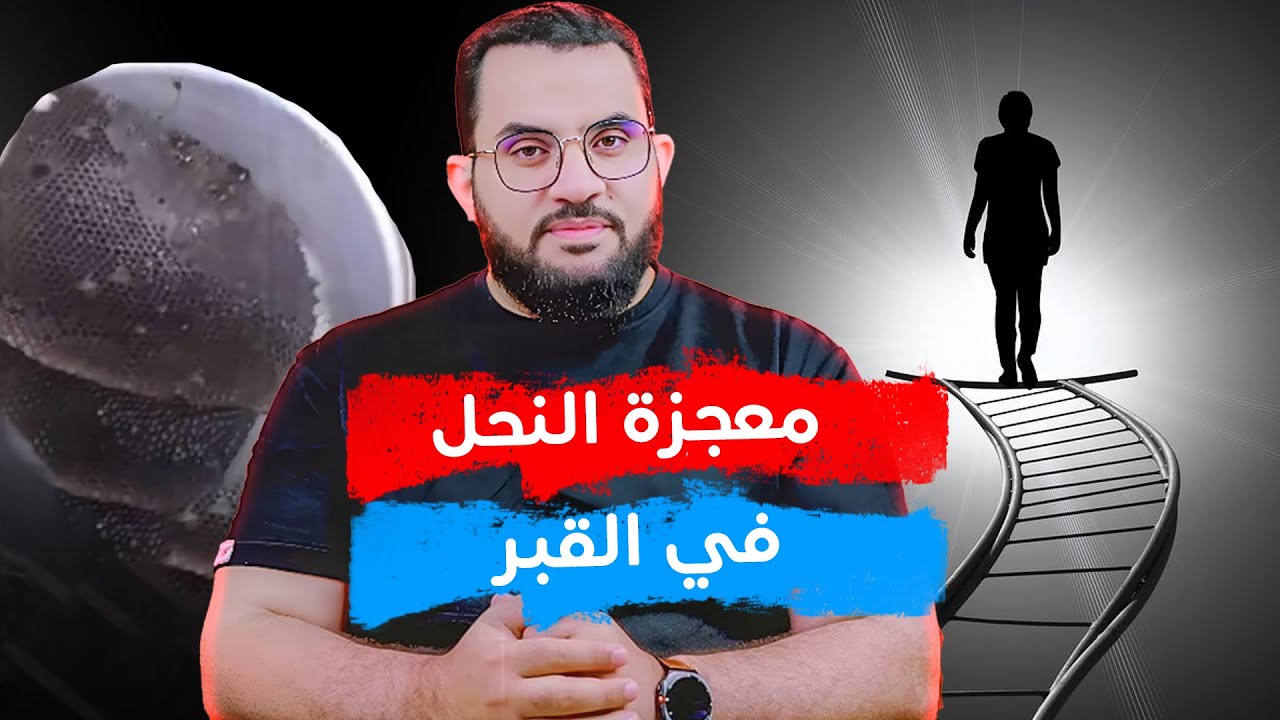 النحل داخل القبر هل هي معجزة وكرامة ؟